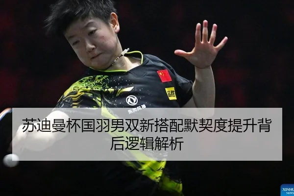 苏迪曼杯国羽男双新搭配默契度提升背后逻辑解析